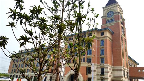 合肥七中高新校區(qū)樓宇、道路、景觀等命名名稱(圖7)