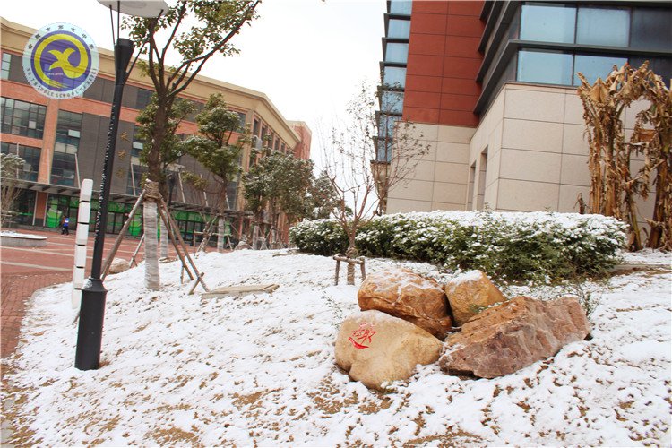 雪園“石頭記”，最美是氣質(zhì)(圖14)