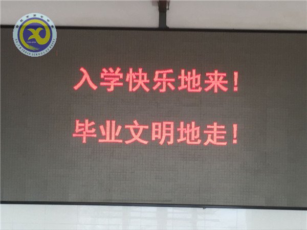 曲終人散情未盡，留得愛心滿校園(圖4)