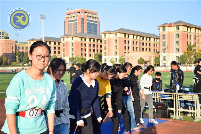 智能化體質(zhì)健康測(cè)試 精細(xì)化組織管理(圖5)