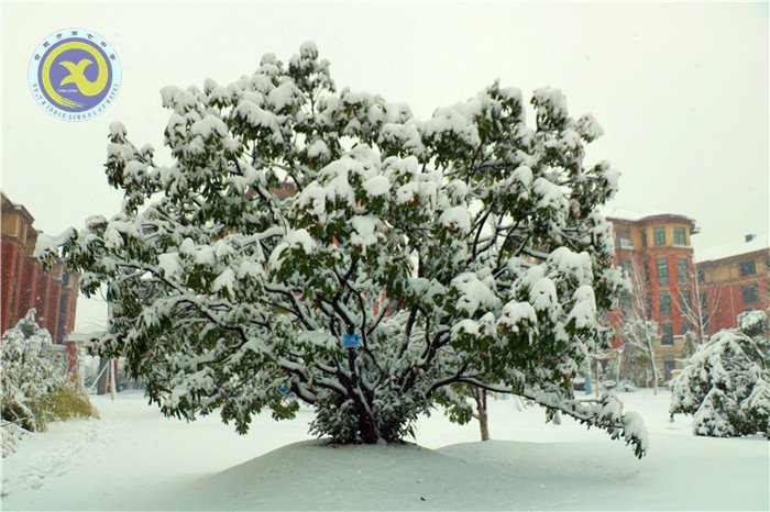 梅雪盼冬來，微笑迎春歸(圖4)