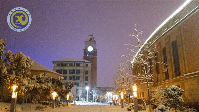 梅雪盼冬來，微笑迎春歸(圖12)