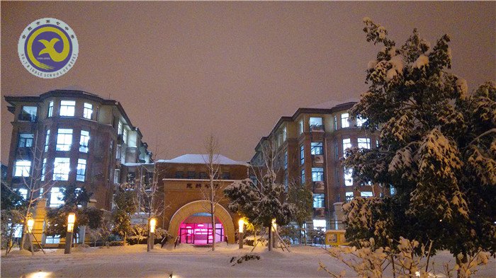 梅雪盼冬來，微笑迎春歸(圖13)