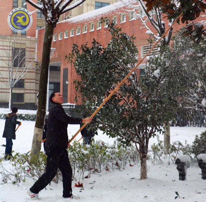 梅雪盼冬來，微笑迎春歸(圖10)