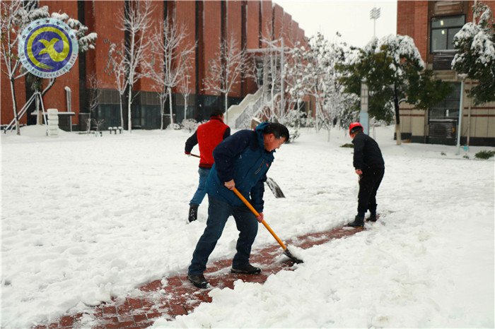 梅雪盼冬來，微笑迎春歸(圖11)