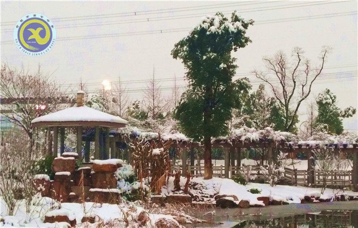 梅雪盼冬來，微笑迎春歸(圖8)