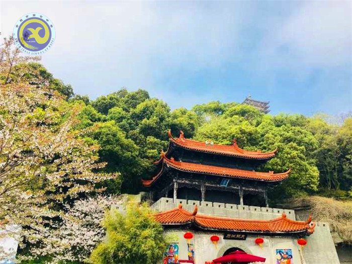 格世間萬物，知自然之理(圖3)