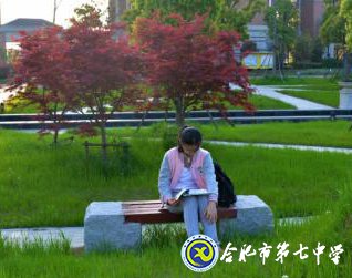 唯美七中  詩(shī)畫校園(圖5)