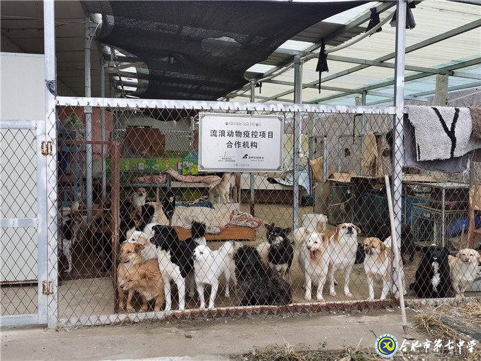 關(guān)愛生命，善待動物(圖3)