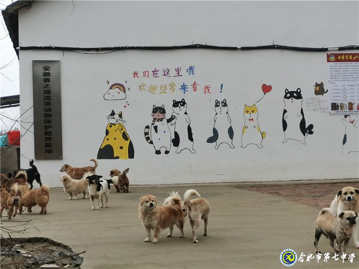 關(guān)愛生命，善待動物(圖2)