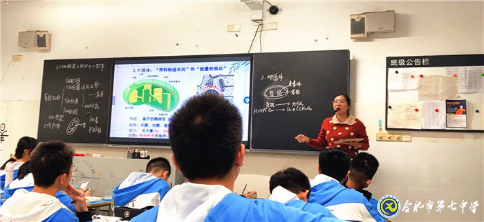 專家視導引方向，交流反思促提升(圖4)