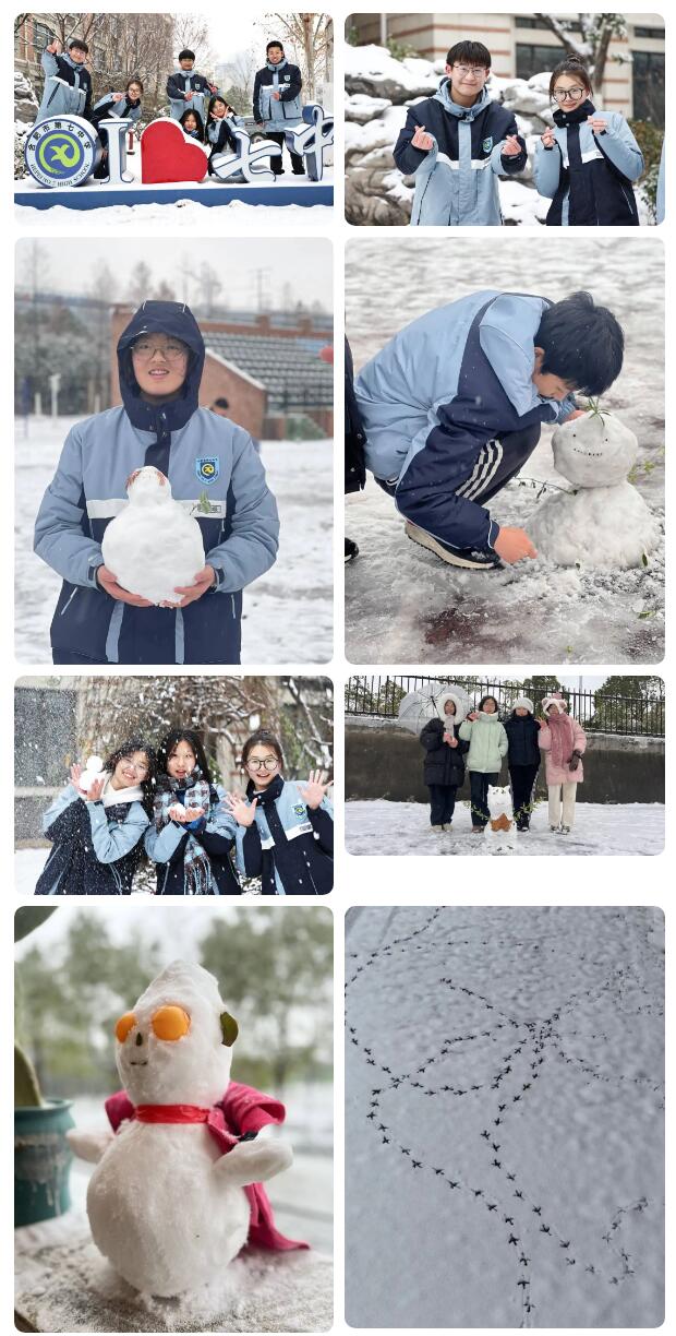 寶藏學(xué)校：每個(gè)人都期待，雪花所帶來的“活潑潑”的生命(圖9)