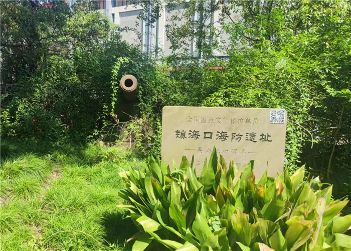 “主動融入長三角，合肥七中這樣做”之四：知己不足而后進，望山遠岐而前行(圖5)
